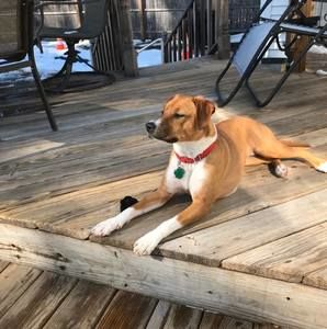 Meet your Posher, Matt